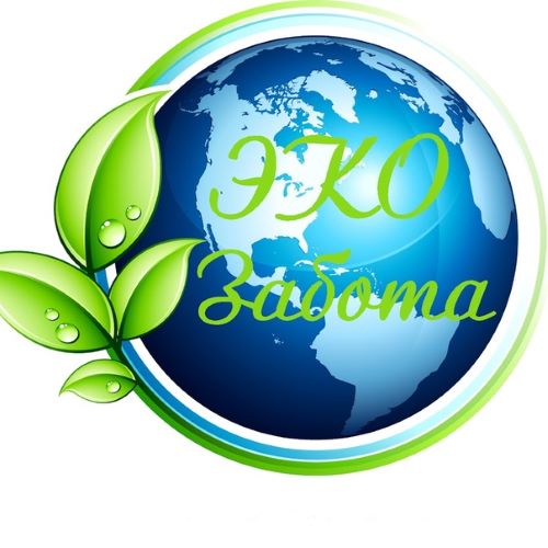 ОНФ запускает проект «Экозабота» совместно с GP Batteries ОНФ запускает проект «Экозабота» совместно с GP Batteries